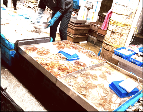 주말에 기분전환으로 괜찮은 곳 은평뉴타운 주변 전통시장 - 원당시장