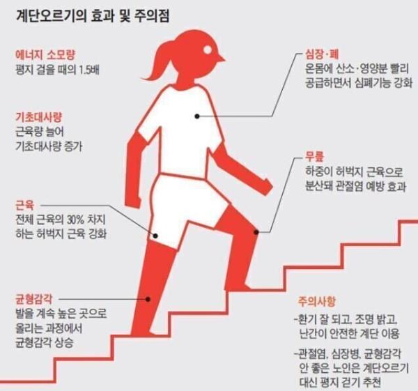 계단 오르기의 효과 - 돈 안들이고 다양한 전신운동 효과를 볼 수 있어